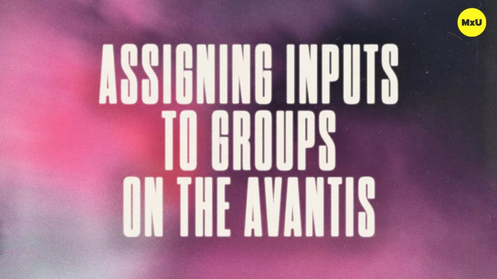 Assigning Inputs to Groups on the Avantis
